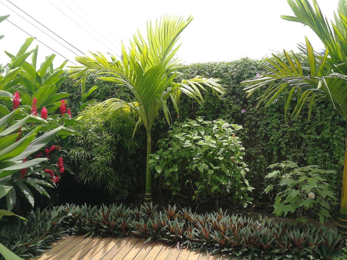 Tamandua -Home Feeling- La Fortuna Exterior photo